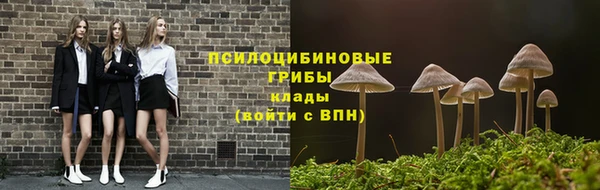 соль ск Зерноград
