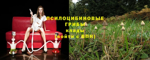 гидра Заволжье