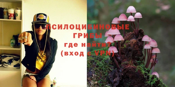гидра Заволжье