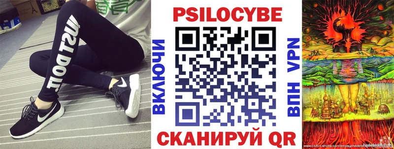 OMG ссылки  Елизово  Псилоцибиновые грибы Psilocybe  продажа наркотиков 
